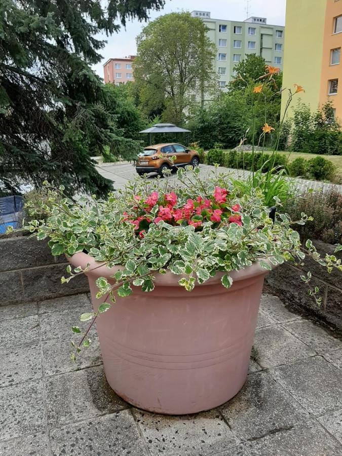 Ferienwohnung Zluty Apartman A6 V Chomutove Exterior foto